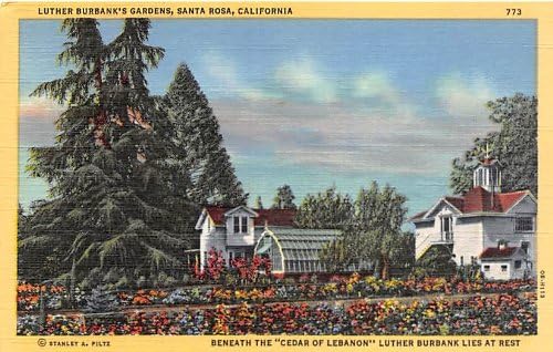 Пощенска картичка от Санта Роза, Калифорния