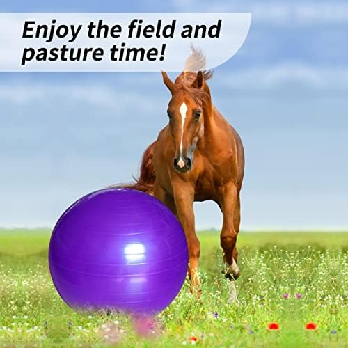 RideFound 40-Инчови Конни Игри Топки със защита от скъсване, Овчарски Топка за коне и Кози, Мега един конете Топка за игра в Тренировъчния