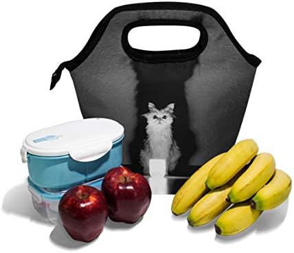 Чанта за Обяд Vipsk Black Cat Lunch Box, Водоустойчив Калъф за Носене за Пикник на Открито, Чанти за Обяд, Чанта-тоут с цип, Черна