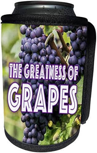 Триизмерно изображение на думи Величието на грозде - Опаковки за бутилки - охладители в банката (cc_353638_1)